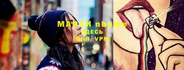 индика Алзамай
