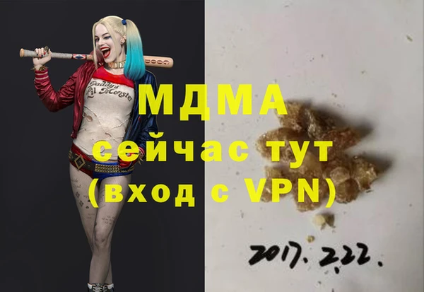 индика Алзамай