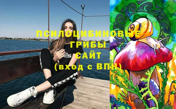 индика Алзамай