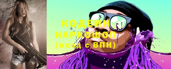 индика Алзамай